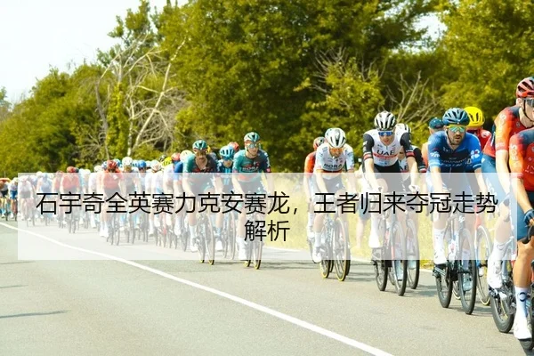 shi-yu-qi-quan-ying-sai-li-ke-an-sai-long-wang-zhe-gui-lai-duo-guan-zou-shi-jie-xi-2-911.jpg